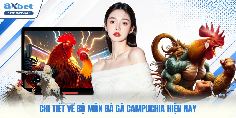 Chi tiết về bộ môn đá gà campuchia hiện nay