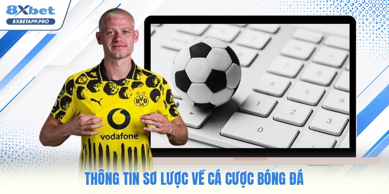 Thông tin sơ lược về cá cược bóng đá
